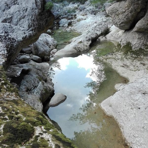 Torrente Cotaio - Lorenzo Grassi